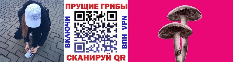 Галлюциногенные грибы GOLDEN TEACHER  Пудож 