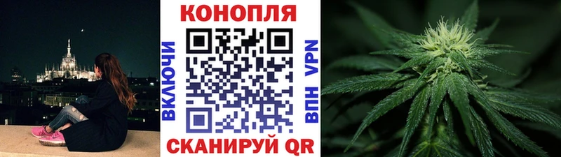 Бошки Шишки VHQ  Пудож 